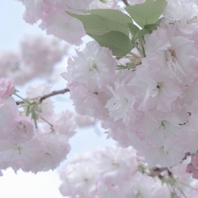 穆棱福瑞交流群